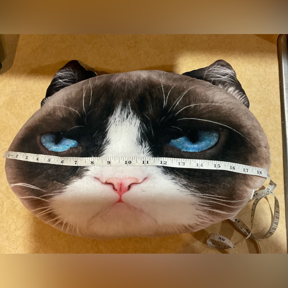 Jakks: Grumpy Cat  about 18 “ inches wide  n 13 “ inches tall decorative pillow - Picture 6 of 6